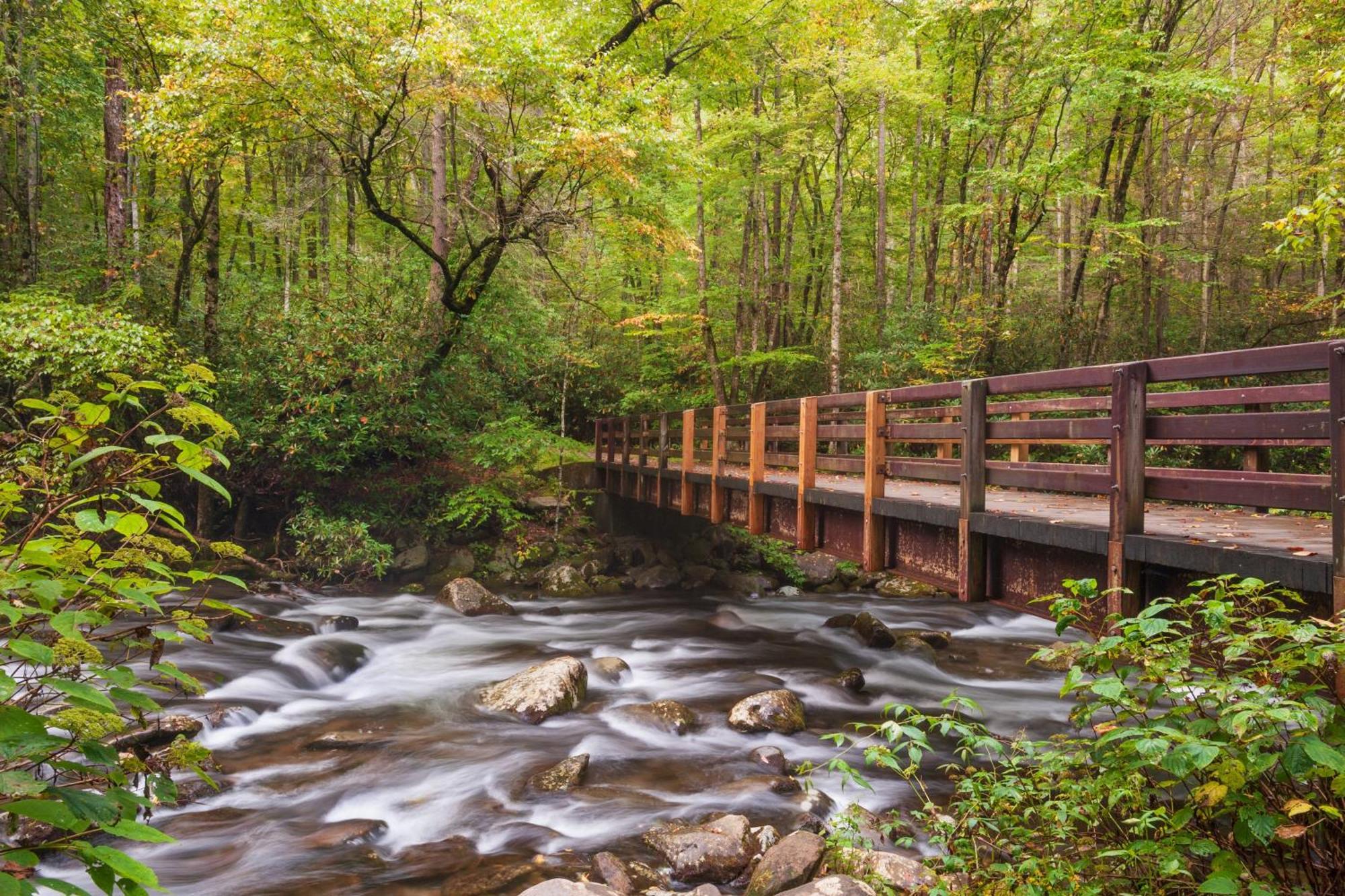 Moonshine Chalet, Hot Tub, Pool Access, Wifi, 1089 Free Tickets Each Paid Day, Dollywood And More Гатлінбург Екстер'єр фото